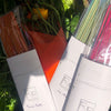Dragons Blood Special Sticks